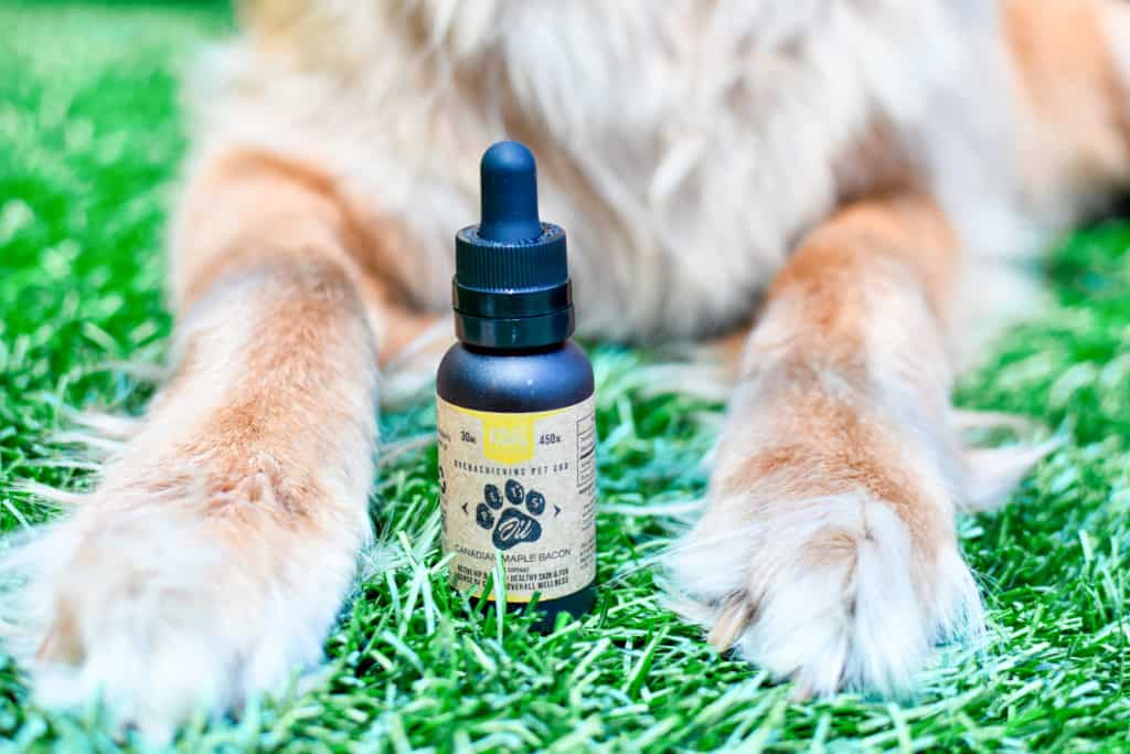 the best cbd for pets 